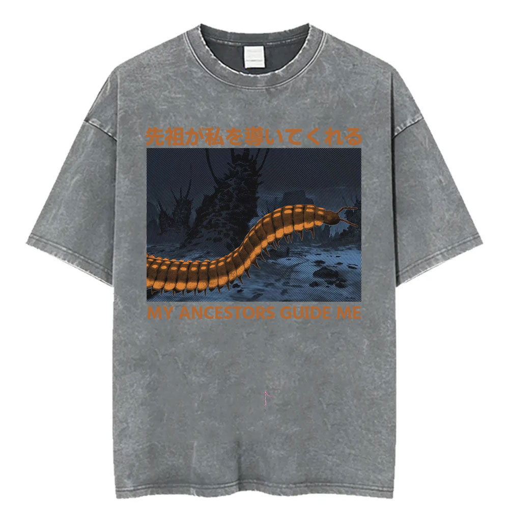 My Ancestors Guide Me Prehisto - Vintage Fashion Bug 리뷰 및 가격